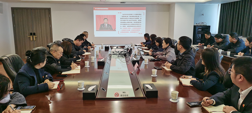集團黨委委員、副總經理賀維維同志講授專題黨課 集團黨委委員、副總經理賀維維同志講授專題黨課